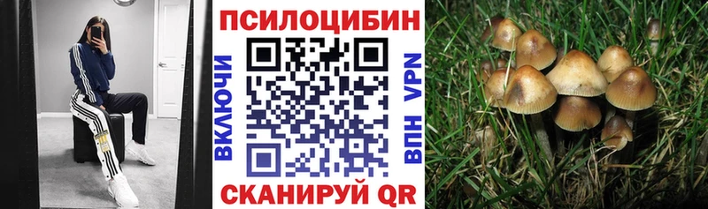 Псилоцибиновые грибы GOLDEN TEACHER  что такое наркотик  Демидов 